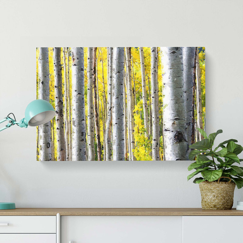 Yellow Birch Tree Forest - Wrapped Canvas Painting, 40cm H x 60cm W x 3cm D