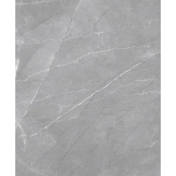 Armani Platinum Polished