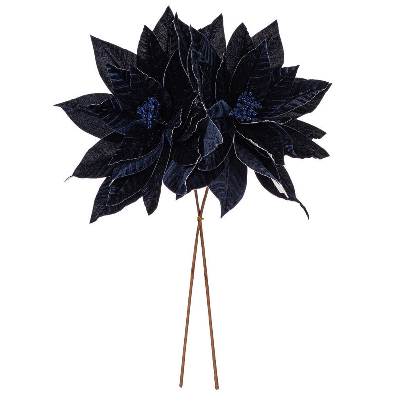 Tiges de poinsettia Clementina, Bleu minuit