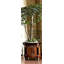 Empire Wood Planter