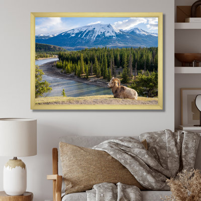 Faune sauvage, paysage de l'Alaska II