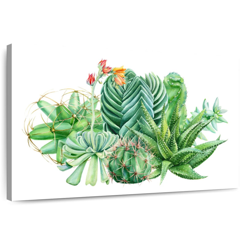 Plantes grasses Harnek, H 8 po x l 12 po