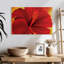 Hibiscus rouge Harnek-108880969
