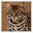 Washable Chausie Cats Area Rug-269588451
