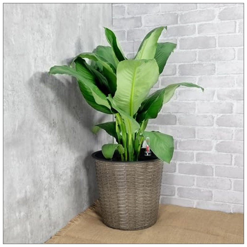 Shaian Pot Planter, 9.4" H x 10.2" W x 10.2" D, Gray
