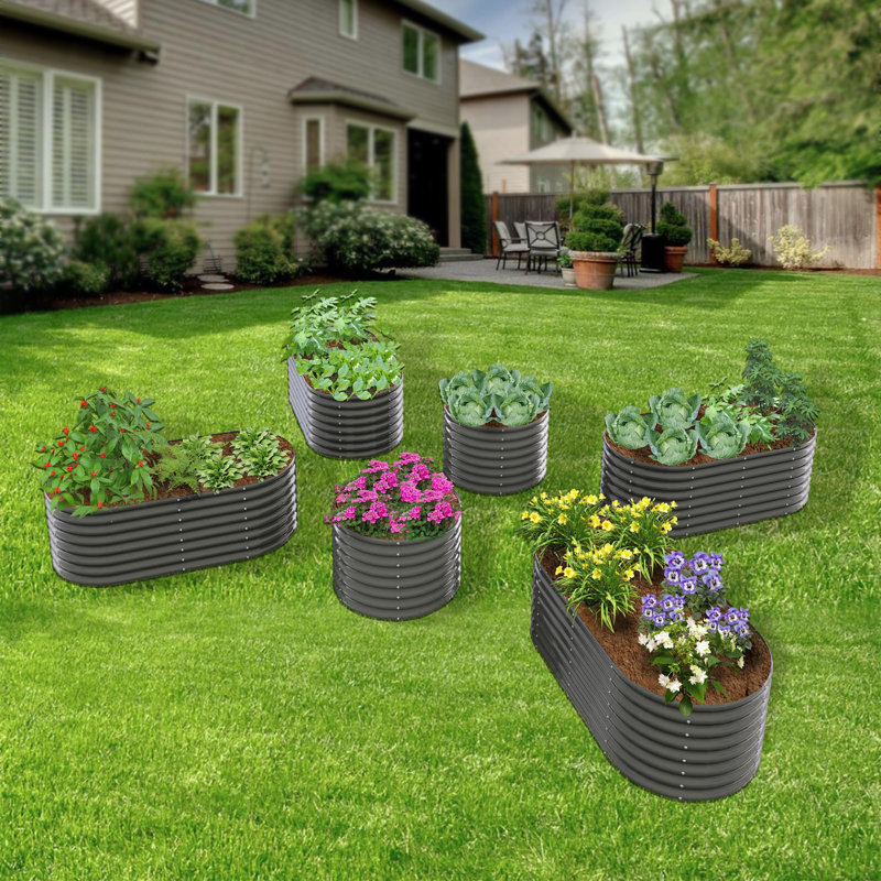 Boîte de 6 pots de fleurs surélevés ovales en métal gris pour la plantation de légumes (L 72 po x l 36 po x H 24 po)