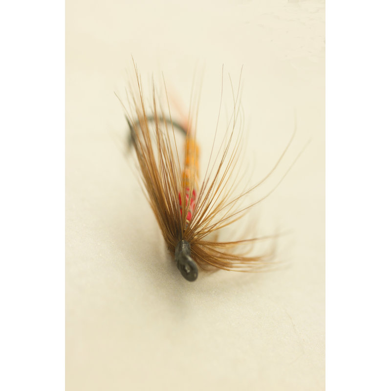 Macro Lure V by Judy Stalus - Wrapped Canvas Print, 122cm H x 81cm W
