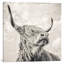 Magnificence I by Mark Gemmell - Wrapped Canvas Print-41187036