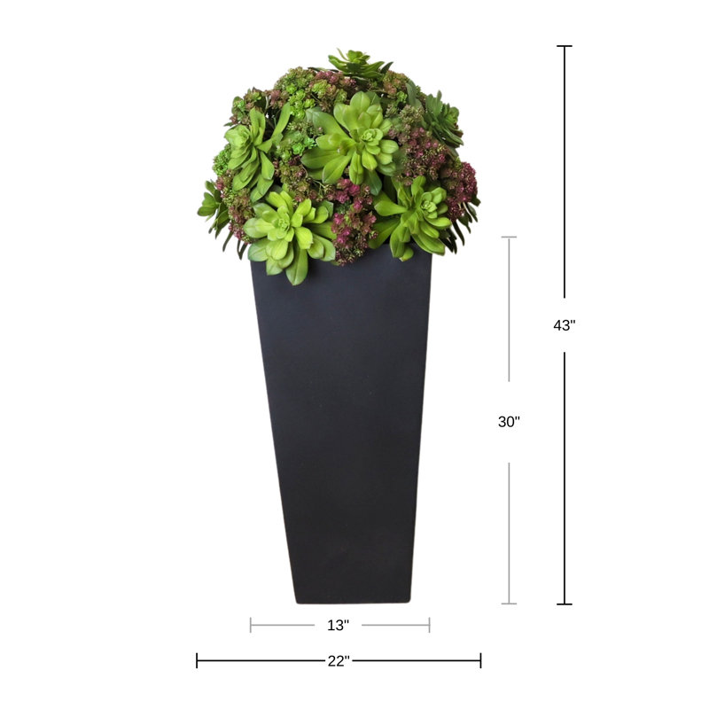 Plantes grasses et Sedum dans un pot en fibre de pierre