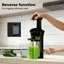 Spector Electric Slow Masticating & Cold Press Juicer