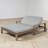 Quilliams 55.27'' Wide Straight Acacia Patio Daybed with Cushions-1401190747