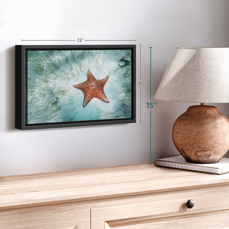 Impression sur toile d'étoiles de mer Shallows, H 9 po x l 13 po