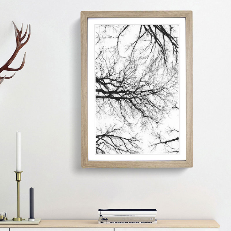 Tree Branches in Central Park New York - Picture Frame Painting Print, 45cm H x 33cm W x 2cm D, Oak Framed