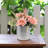 3.7 " Tealight Set of 2
