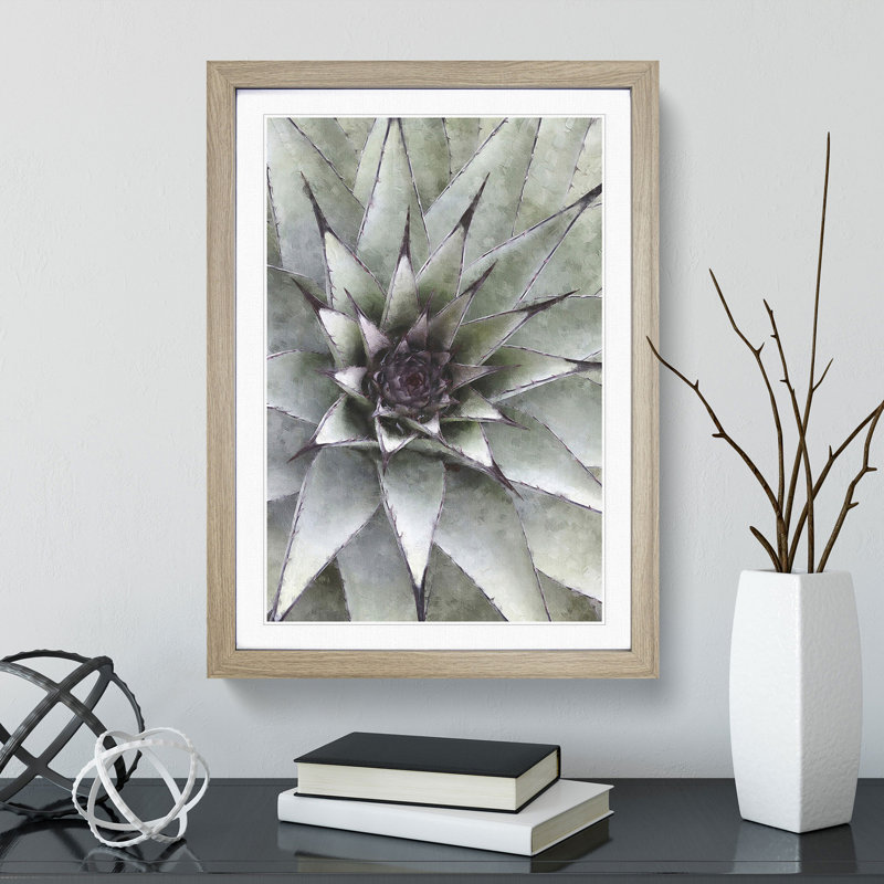 The Succulent Plant - Picture Frame Painting, 48cm H x 36cm W x 2cm D, Oak Framed