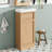 bathroom vanity with ceramic sink, Adjustable Shelf and Push-to-Open Door