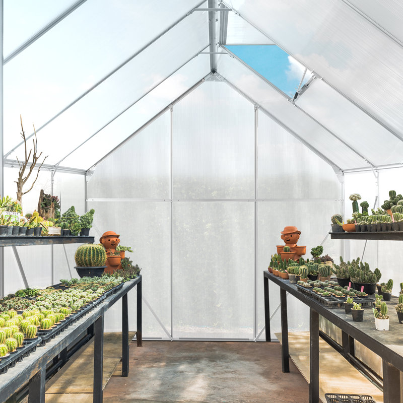 6.2ft. W x 8.2ft. D Hobby Greenhouse, Silver