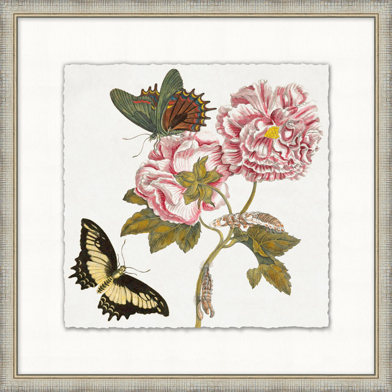 Garden Butterflies 5 Print