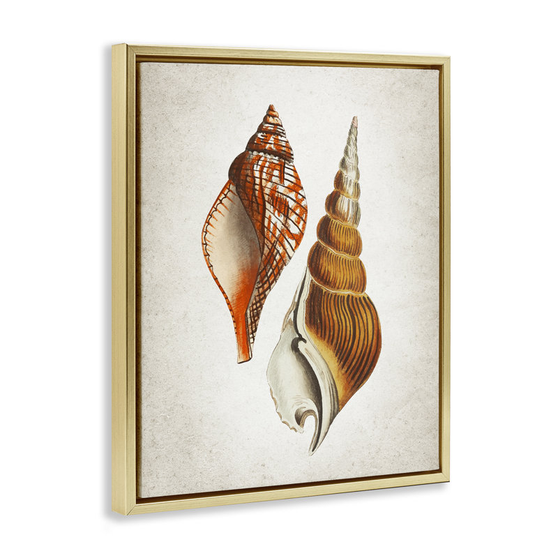 «Twin Spiral Seashells Floater», art mural par Kim Allen, H 21 po x l 17 po, Cadre flottant métallique doré