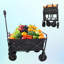 Mini chariot de plage pliable-122421728