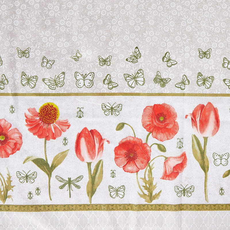 Nappe Apolo