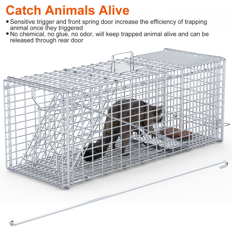 Siphon pliable pour chat 37x14x15in