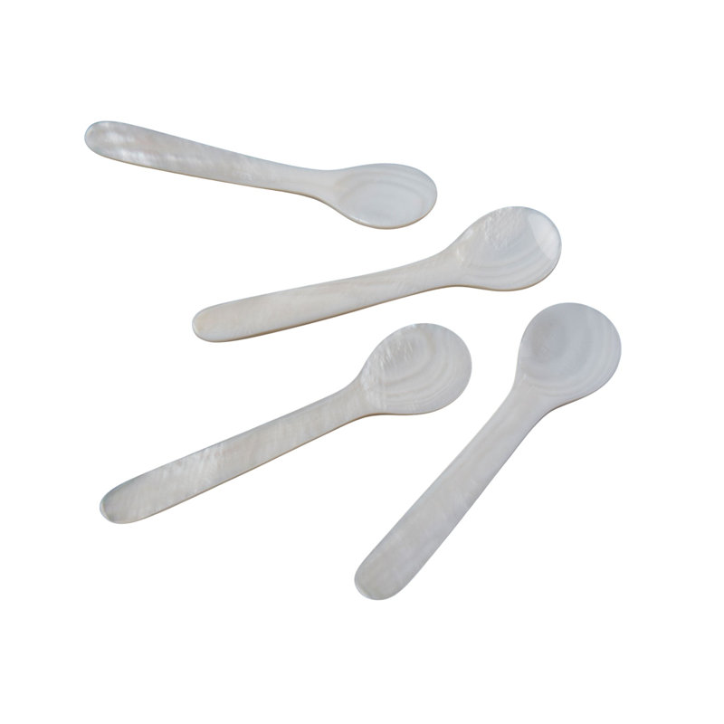 Large Shell Spoons, Set of 4