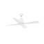 Typhoon Ceiling Fan