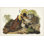 " Pl 41 Ruffed Grouse " by James Audubon Painting Print