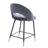 Audie Upholstered Counter Stool with Metal Frame-1248813666