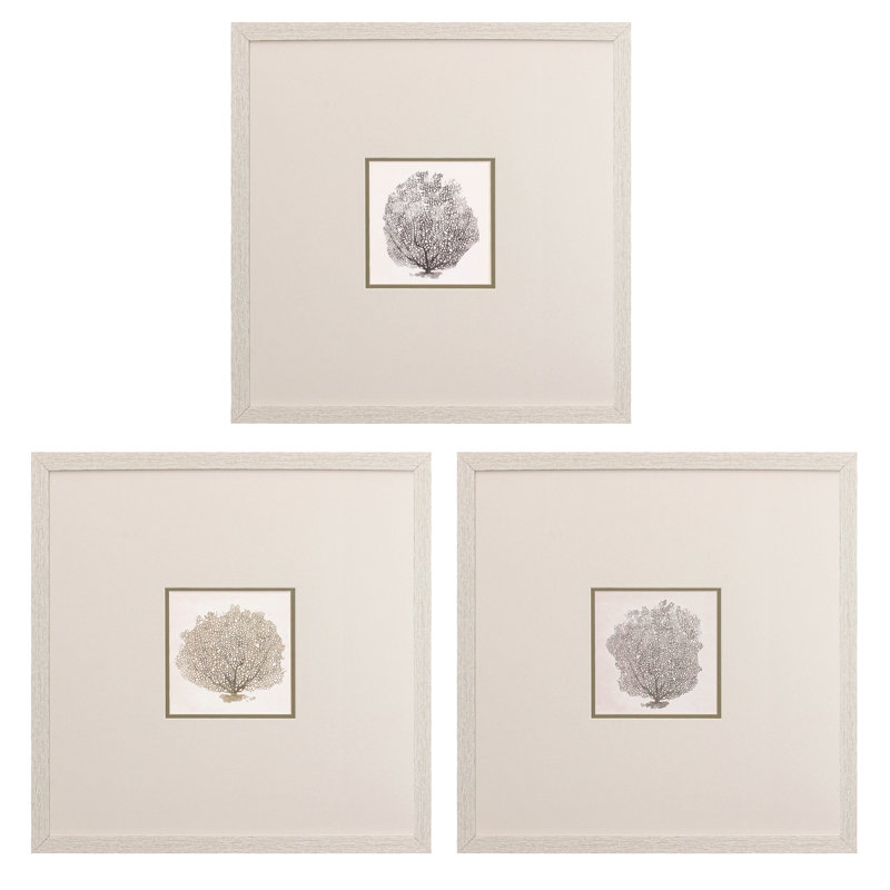 Bertlinde Corals B, reproduction encadrée sur papier 3 pièces