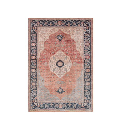 Livi Oriental Hand Woven Area Rug