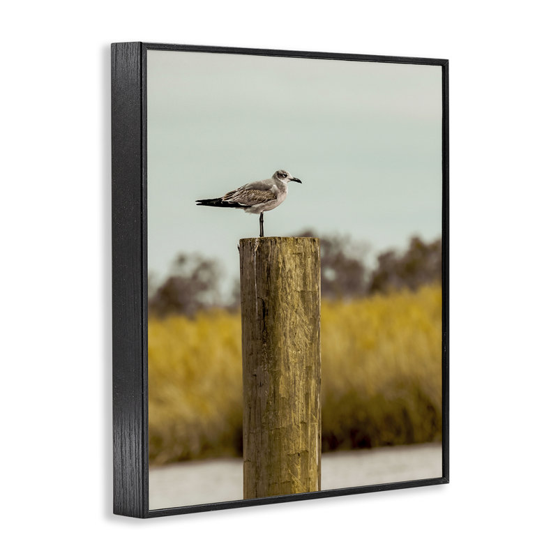 «Gull On Pile», dessin de Christy Berry, Giclée noire de minuit encadrée, H 14 po x l 11 po