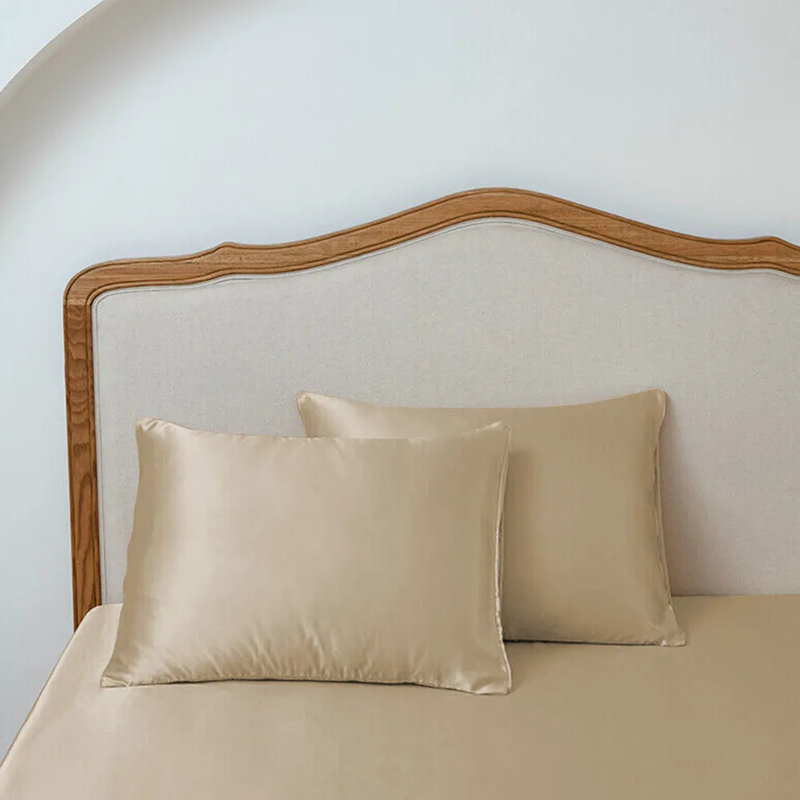 Ensemble de 2 taies d'oreiller en satin de satin de luxe pour très grand taie d'oreiller standard, 20 po x 30 po, Champagne