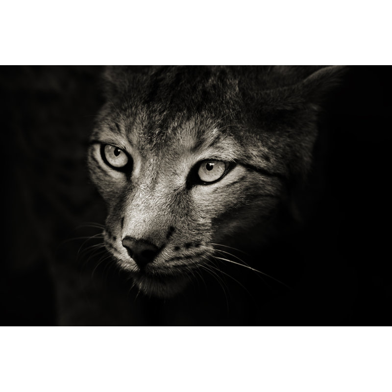 Predator in The Darkness by Andyworks, 32" H x 48" W