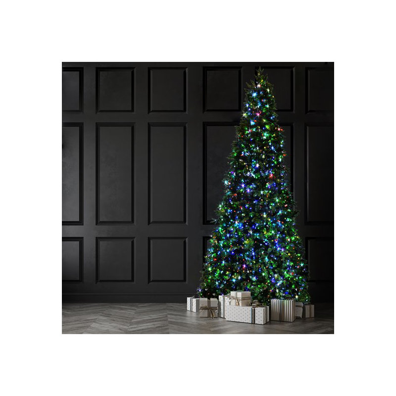 Lighted Christmas Tree