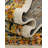 Anna Raphaelle Rug-283891572