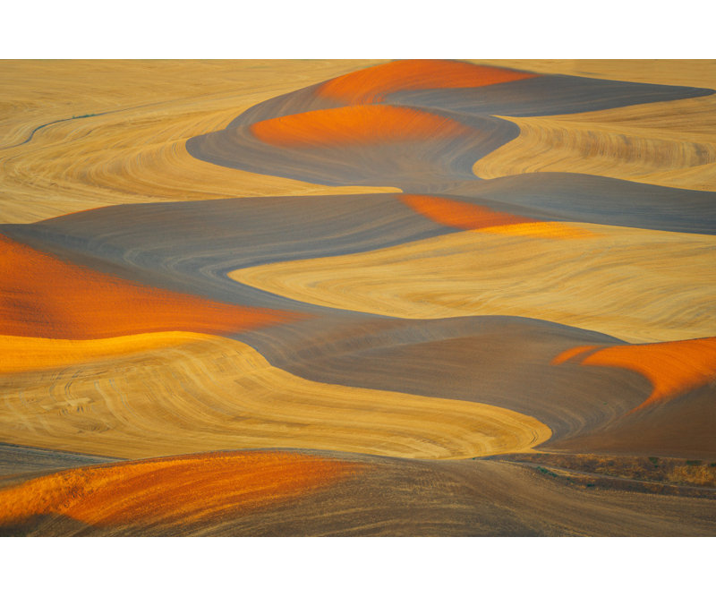 Wrapped Canvas Print, 81.28 cm H x 121.92 cm W