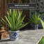 Pot de fleurs en céramique Lewistown-1193711432