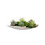 Faux Moss,Succulents Arrangement in Metal Tray