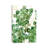 Zanzibar Gem II by Melissa Wang - Wrapped Canvas Gallery-Wrapped Canvas Giclée-69245963