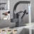 AlenArtWater Kitchen Faucet