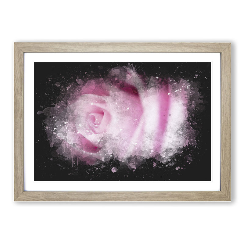 Pink Rose Flower Vol.1 - Picture Frame Graphic Art, Oak Framed, 36cm H x 48cm W x 2cm D