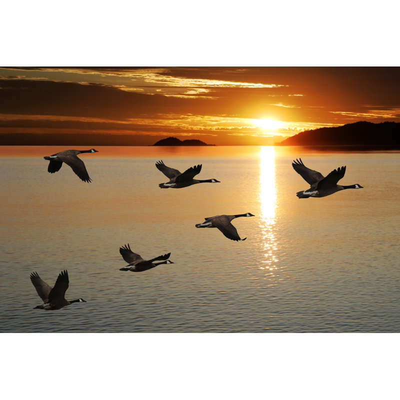 Migrating Canada Geese - Wrapped Canvas Print, 81cm H x 122cm W x 3.8cm D