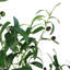 120cm Faux Plant in Pot Liner