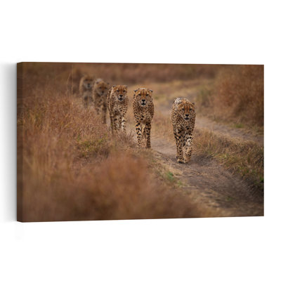 African Cheetahs Walking Path Contemporary Cat Landscape Nature Wall Art Print 1 Piece Wrapped Canvas Wall Art
