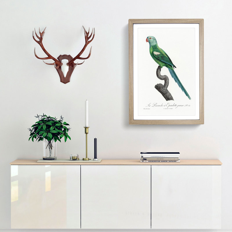Yellow-Shouldered Amazon Macaw Parrot by F. Levaillant - Picture Frame Graphic Art Print, 36cm H x 27cm W x 2cm D, Oak Framed
