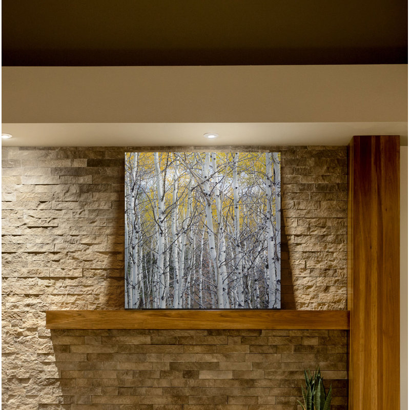 « mountain aspen », peinture sur toile tendue, H 40 po x l 40 po x P 1,5 po