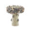 Bain d'oiseaux Oyster Shell-72168461