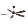 Lieschen 52'' Ceiling Fan with LED Lights